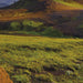 1 600 komar iceland Fotomural 184x127cm 1 Partes d | Yourdecoration.es