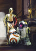 4 447 komar star wars three droids Fotomural 184x | Yourdecoration.es