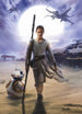 4 448 komar star wars rey Fotomural 184x254cm 4 d | Yourdecoration.es