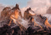 4 530 komar torres del paine Fotomural 254x184cm | Yourdecoration.es