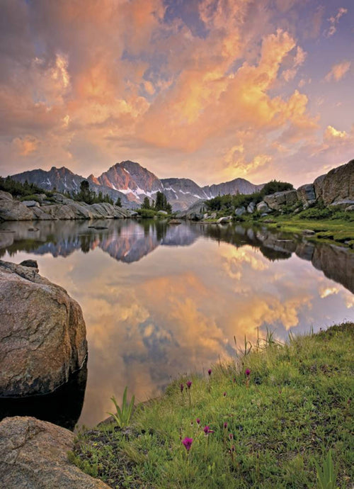 4 734 komar alpengluehen Fotomural 184x254cm 4 de | Yourdecoration.es