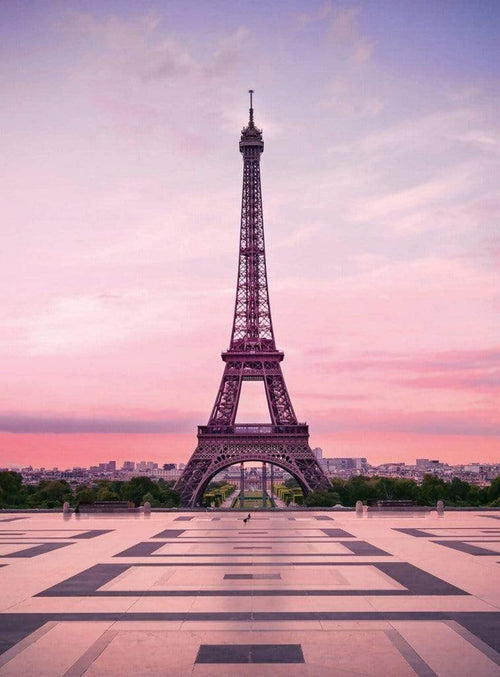 5028 4 wizard genius eiffel tower at sunset Fotomural Tejido No Tejido 192x260cm 4 Tiras | Yourdecoration.es