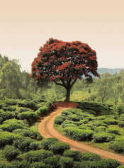 5036 4 wizard genius red tree and hills in sri lanka Fotomural Tejido No Tejido 192x260cm 4 Tiras | Yourdecoration.es