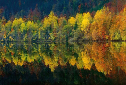 5067 8 wizard genius autumn forest lake Fotomural Tejido No Tejido 384x260cm 8 Tiras f17ff9f5 041f 4e78 b940 7b7ca8c12329 | Yourdecoration.es