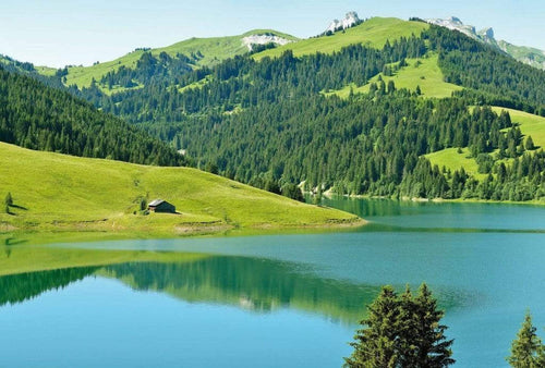 5186 8 wizard genius swiss mountain lake launensee gstaad Fotomural Tejido No Tejido 384x260cm 8 Tiras c79258f0 3586 47cc afeb ae15382f56eb | Yourdecoration.es