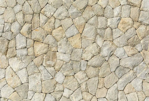 5202 8 wizard genius natural stone wall ii Fotomural Tejido No Tejido 384x260cm 8 Tiras cacd5a1b 2fea 4cae a772 ef5260309680 | Yourdecoration.es