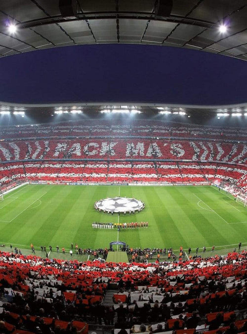 5426 4 wizard genius fcb stadion choreo Fotomural Tejido No Tejido 192x260cm 4 Tiras | Yourdecoration.es