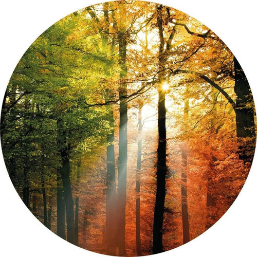 5483 r wizard genius golden autumn Fotomural Tejido No Tejido 140x140cm Redondo | Yourdecoration.es