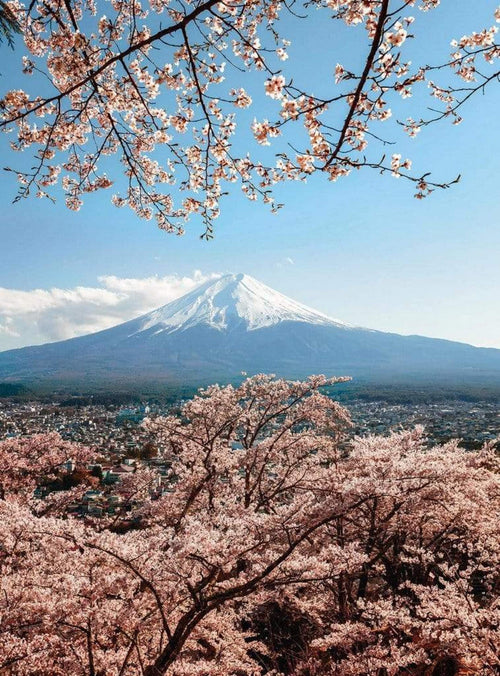 5492 4 wizard genius mount fuji in japan Fotomural Tejido No Tejido 192x260cm 4 Tiras | Yourdecoration.es