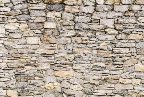 5498 8 wizard genius stone wall ii Fotomural Tejido No Tejido 384x260cm 8 Tiras a8994ef9 f865 45e2 a8d9 9febab05326c | Yourdecoration.es