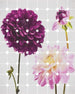 6006a vd2 komar flowers and dots Fotomural Tejido No Tejido 200x250cm 2 Tiras | Yourdecoration.es