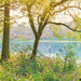 8 524 komar spring lake Fotomural 368x254cm 8 del 6dddd0a5 2ab7 4c32 9ac2 ee678aff2f93 | Yourdecoration.es