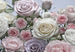 8 736 komar floraison Fotomural 368x254cm 8 Partes | Yourdecoration.es