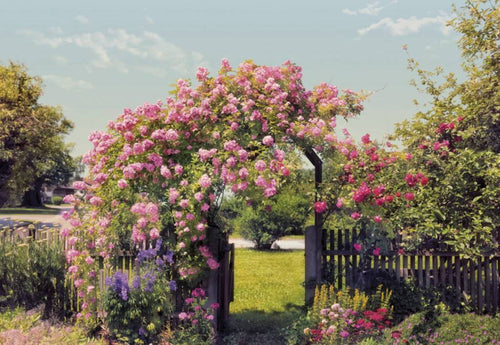 8 936 komar rose garden Fotomural 368x254cm 8 del | Yourdecoration.es