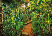 8 989 komar jungle trail Fotomural 368x254cm 8 de | Yourdecoration.es