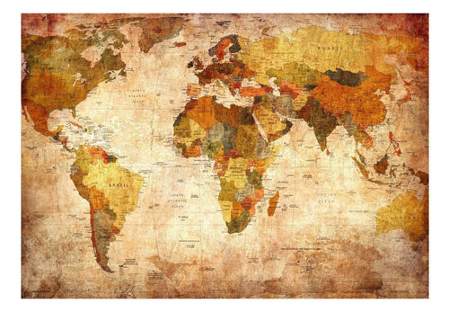 Artgeist Old World Map Fotomural Tejido No Tejido | Yourdecoration.es