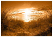 Artgeist Strand Sepia Fotomural Tejido No Tejido | Yourdecoration.es