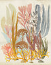 Komar Catchy Corals No Tejido Fotobehang 200x250cm 2 tiras | Yourdecoration.es