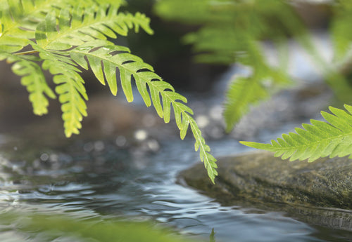 Komar Fotomural Tejido No Tejido 1611 I Along The River | Yourdecoration.es