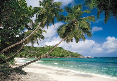 Komar Fotomural Tejido No Tejido 8 308 Tropical Sea | Yourdecoration.es