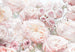 Komar Fotomural Tejido No Tejido 8 976 Spring Roses | Yourdecoration.es