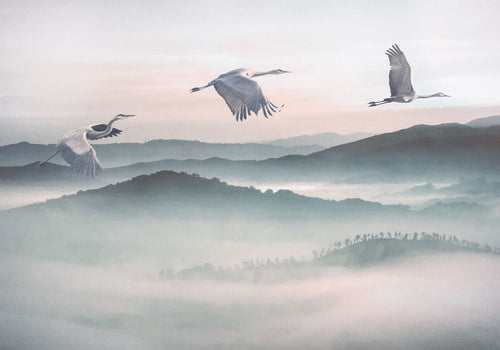 Komar Fotomural Tejido No Tejido Inx8 083 Mystic Cranes | Yourdecoration.es