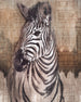 Komar Fotomural Tejido No Tejido x4 1010 Zebra Web | Yourdecoration.es