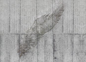 Komar Fotomural Tejido No Tejido x7 1023 Concrete Feather | Yourdecoration.es