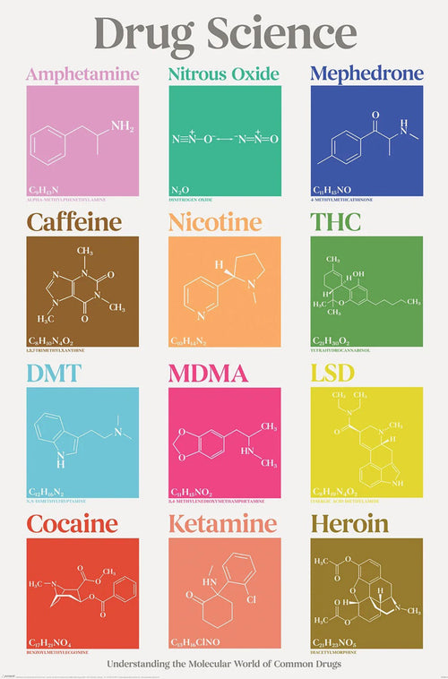 Poster Drug Science A Z 61x91 5cm PP2402112 | Yourdecoration.es