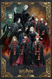 Poster Harry Potter Wizard Dynasty Characters 61x91 5cm PP35438 2 | Yourdecoration.es