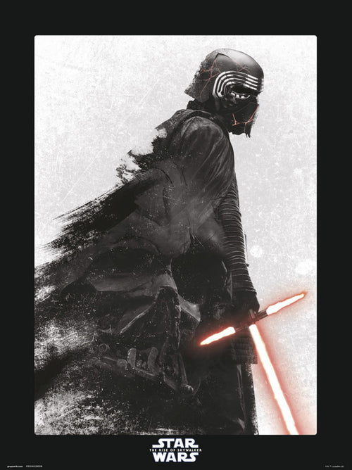 Póster Star Wars Episode IX The Rise Of Skywalker 30x40cm Grupo Erik P30X40CM0118 | Yourdecoration.es