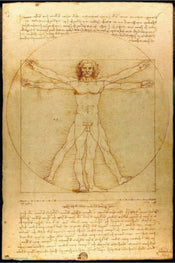 Póster Vitruvian Man 61x91 5cm Grupo Erik GPE5819 | Yourdecoration.es