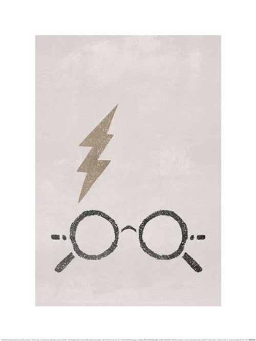 Reproducción de arte Harry Potter The Boy Who Lived 30x40cm Pyramid PPR54396 | Yourdecoration.es