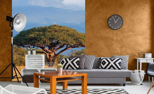 dimex acacia tree Fotomural Tejido No Tejido 225x250cm 3 Tiras Ambiente 062fe89e 0c54 4d9c b5bb ed8600c10648 | Yourdecoration.es