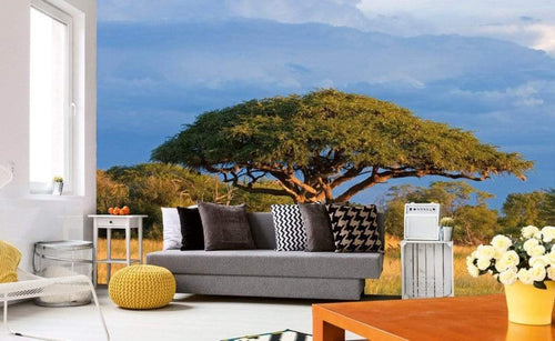 dimex acacia tree Fotomural Tejido No Tejido 375x250cm 5 Tiras Ambiente c7d63d09 146f 466d a8e2 1857ae90c14f | Yourdecoration.es