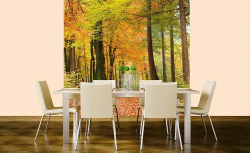 dimex autumn forest Fotomural Tejido No Tejido 225x250cm 3 Tiras Ambiente c5a35ed0 4808 4cfa 8552 0e2066091c19 | Yourdecoration.es