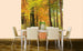 dimex autumn forest Fotomural Tejido No Tejido 225x250cm 3 Tiras Ambiente c5a35ed0 4808 4cfa 8552 0e2066091c19 | Yourdecoration.es