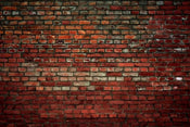 dimex brick wall Fotomural Tejido No Tejido 375x250cm 5 Tiras 58903778 fc0d 40f4 95ea 2a6c661db23b | Yourdecoration.es