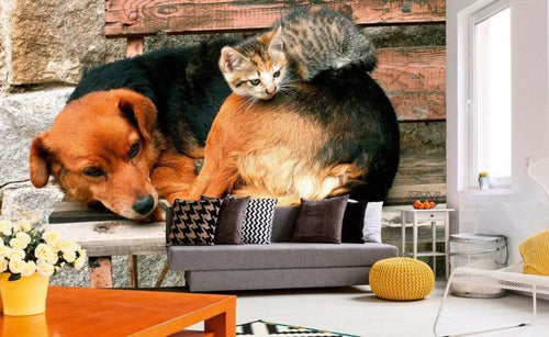 dimex cat and dog Fotomural Tejido No Tejido 375x250cm 5 Tiras Ambiente d6f65e51 8e9c 4721 aa3e 79a3699b7c97 | Yourdecoration.es