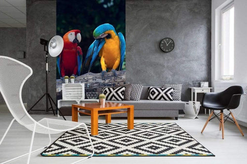 dimex colourful macaw Fotomural Tejido No Tejido 150x250cm 2 Tiras Ambiente 2d254a19 8102 4d8e b497 3d9834ccc0ae | Yourdecoration.es