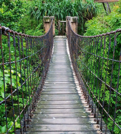 dimex footbridge Fotomural Tejido No Tejido 225x250cm 3 Tiras 64f7519f 6422 40aa b447 ee89a6caacc6 | Yourdecoration.es