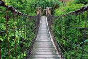 dimex footbridge Fotomural Tejido No Tejido 375x250cm 5 Tiras fa3f90d8 d3e7 4ab3 aeb7 f1172f487504 | Yourdecoration.es