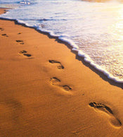 dimex footsteps Fotomural Tejido No Tejido 225x250cm 3 Tiras 7690a1f0 0e43 4efe b662 14514cda6112 | Yourdecoration.es