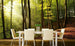 dimex forest Fotomural Tejido No Tejido 375x250cm 5 Tiras Ambiente 7b2e21b5 e9d7 42db a87a 0cba26f52f82 | Yourdecoration.es