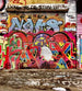 dimex graffiti street Fotomural Tejido No Tejido 225x250cm 3 Tiras 058fe15b 0f86 4014 be5c ce8686a4b519 | Yourdecoration.es