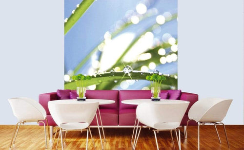 dimex grass Fotomural Tejido No Tejido 225x250cm 3 Tiras Ambiente 188bee50 fa14 42ed ae0d edfb53a84ed2 | Yourdecoration.es