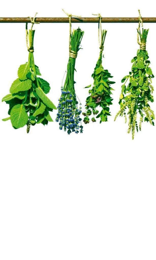 dimex herbs Fotomural Tejido No Tejido 150x250cm 2 Tiras edbde722 5c66 46ab b5d0 799f119fa400 | Yourdecoration.es