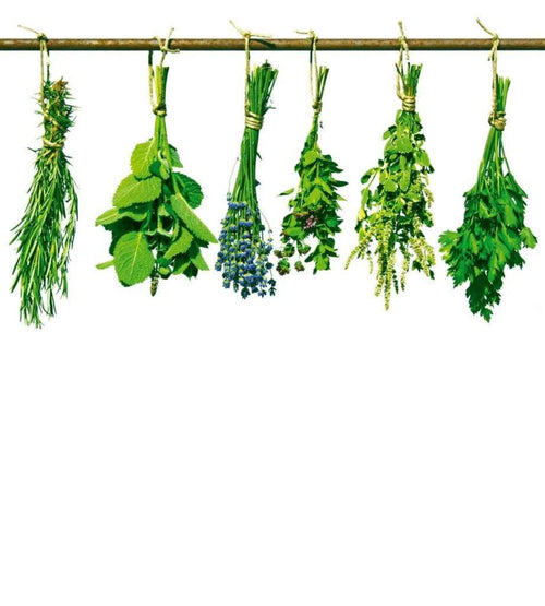 dimex herbs Fotomural Tejido No Tejido 225x250cm 3 Tiras 560d93da 2497 4a7d 904d 7e447f24830f | Yourdecoration.es