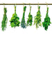 dimex herbs Fotomural Tejido No Tejido 225x250cm 3 Tiras 560d93da 2497 4a7d 904d 7e447f24830f | Yourdecoration.es