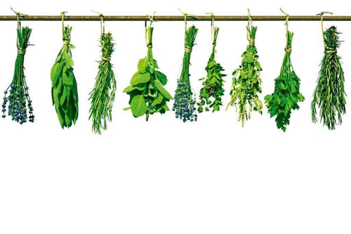 dimex herbs Fotomural Tejido No Tejido 375x250cm 5 Tiras e3d72a6c 4dd0 473d bc30 4bf10402f4d9 | Yourdecoration.es